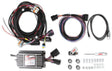 MSD LS Ignition Controller - Black MSD60143 - Prolink Performance